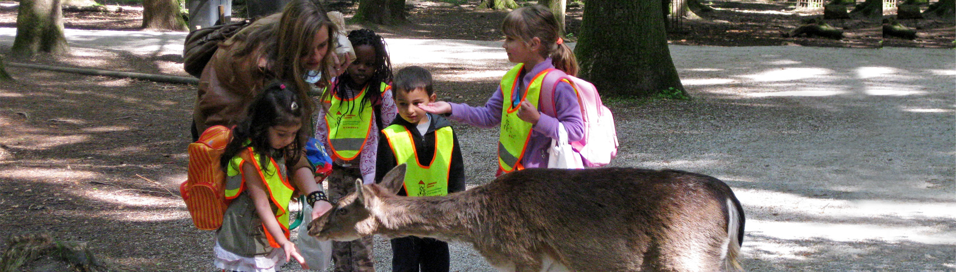 Hilfe für Kids - Ausflug in den Wildpark Poing