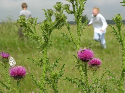 Hilfe für Kids - Natur erleben auf der Nordhaide