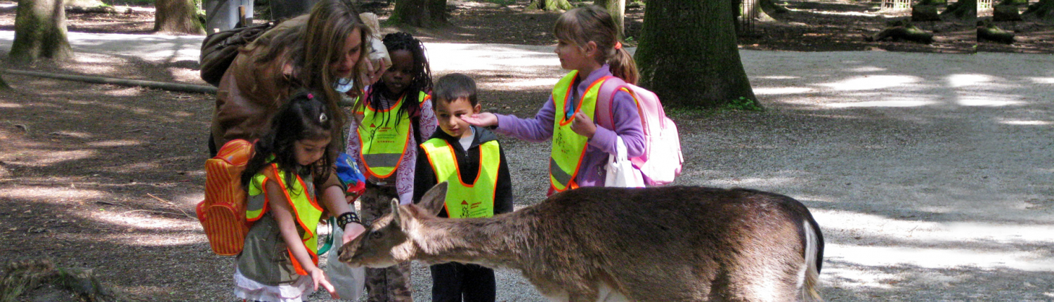 Hilfe für Kids - Ausflug in den Wildpark Poing